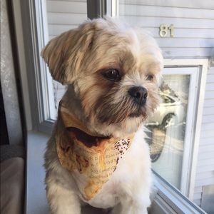 Meet your Posher, Sangeeta